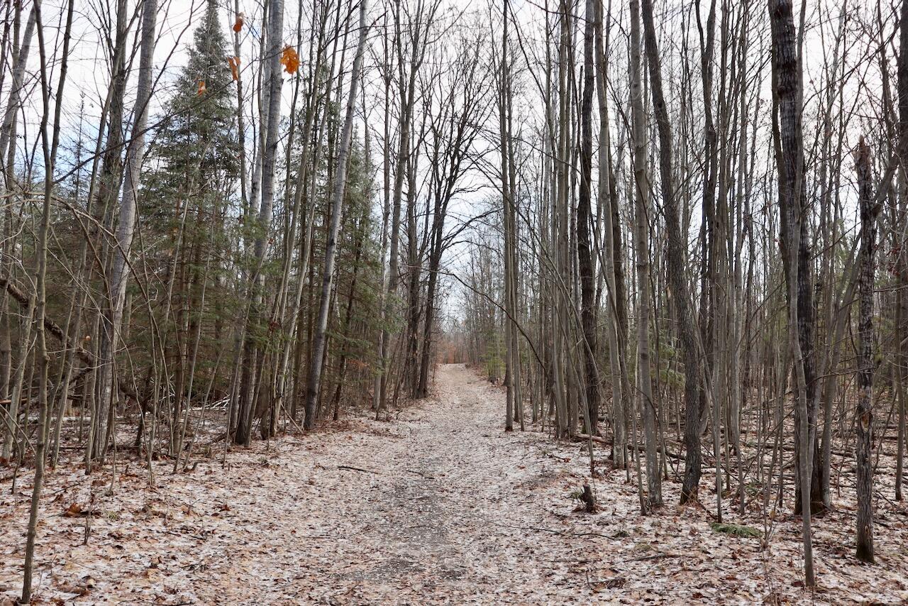 5717 Maple Ridge Road, Sterling, MI, 48659-9210