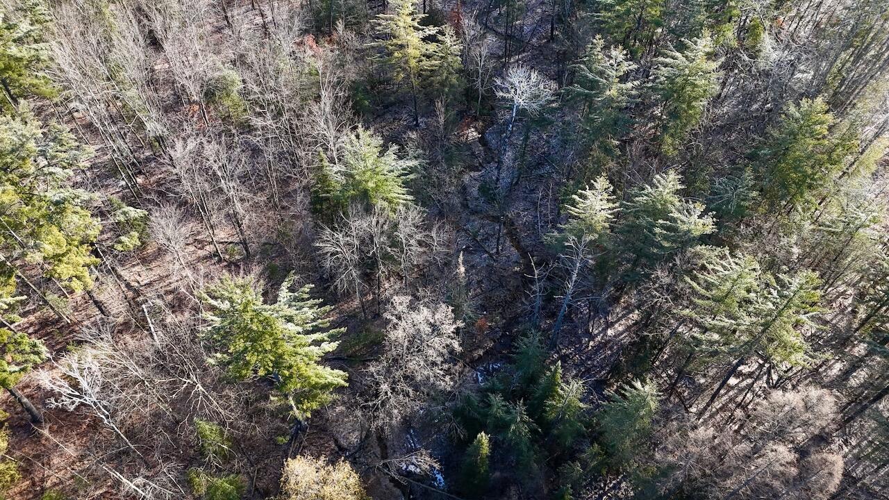 5717 Maple Ridge Road, Sterling, MI, 48659-9210