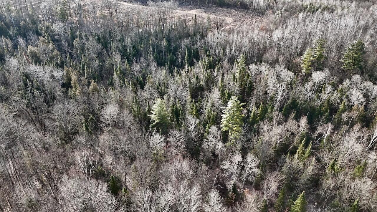 5717 Maple Ridge Road, Sterling, MI, 48659-9210