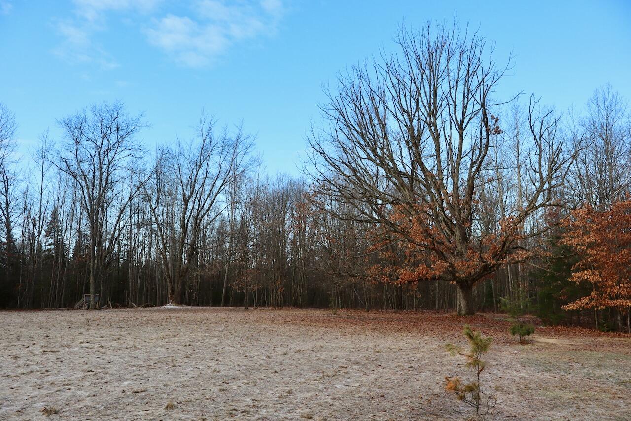 5717 Maple Ridge Road, Sterling, MI, 48659-9210