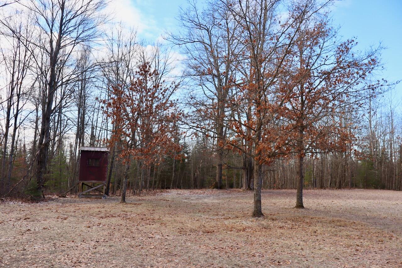 5717 Maple Ridge Road, Sterling, MI, 48659-9210