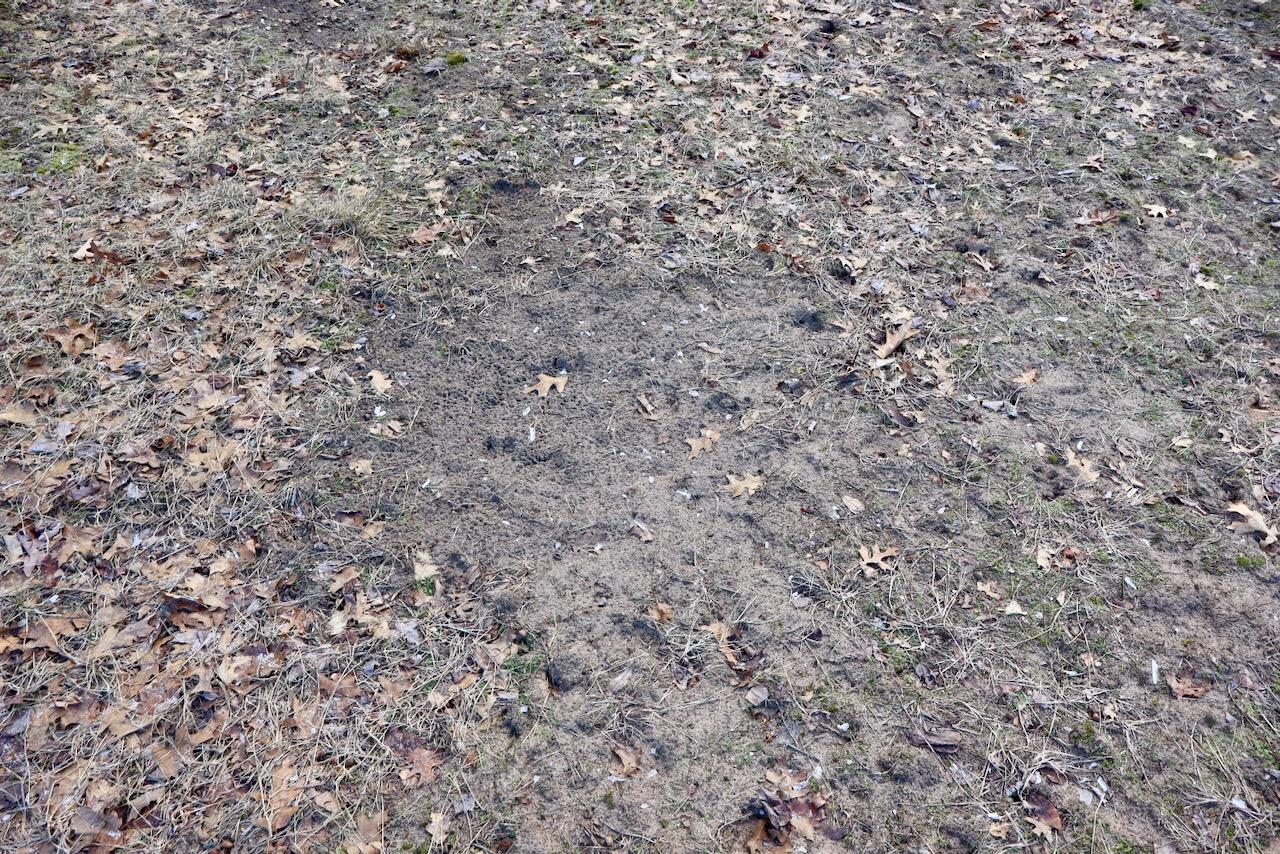 5717 Maple Ridge Road, Sterling, MI, 48659-9210