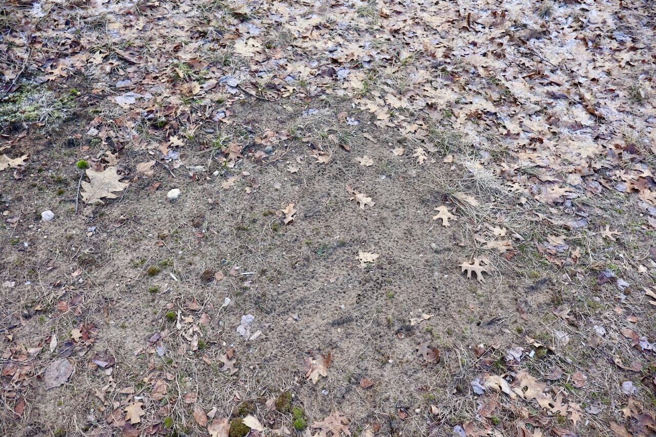 5717 Maple Ridge Road, Sterling, MI, 48659-9210