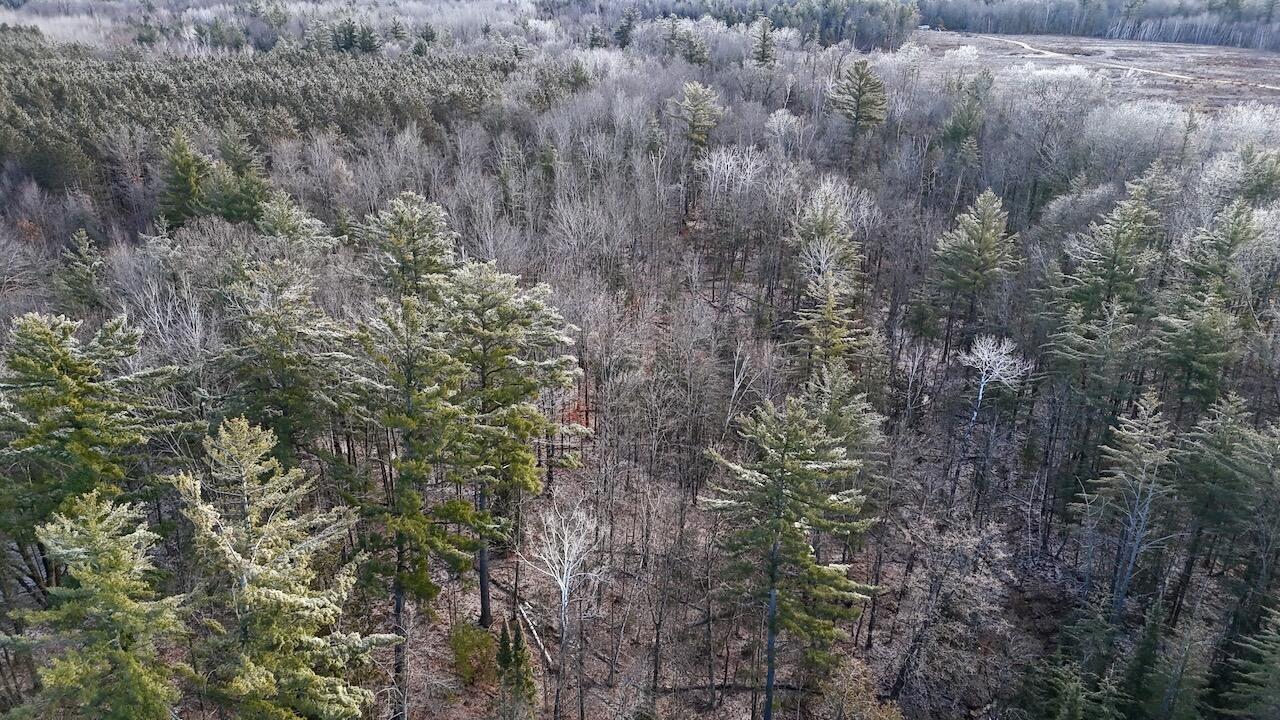 5717 Maple Ridge Road, Sterling, MI, 48659-9210