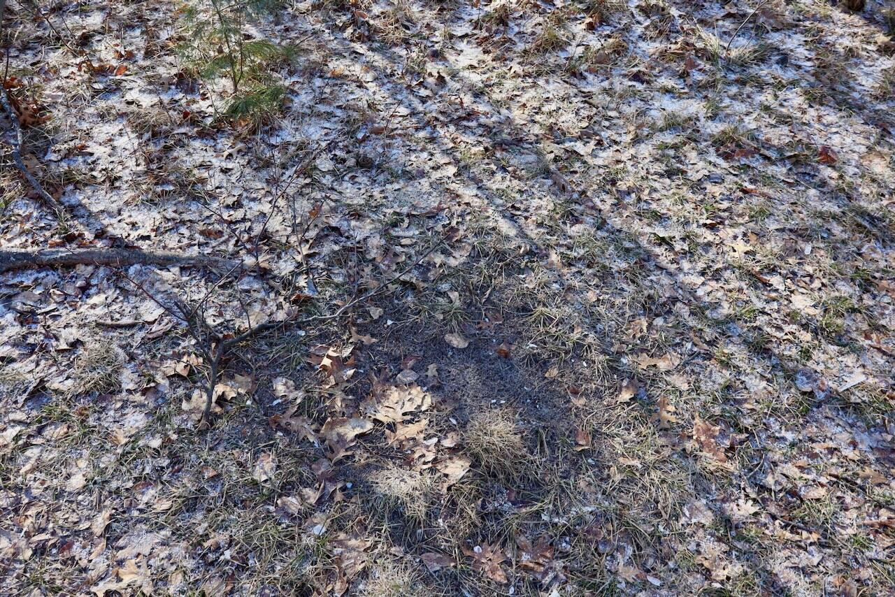 5717 Maple Ridge Road, Sterling, MI, 48659-9210