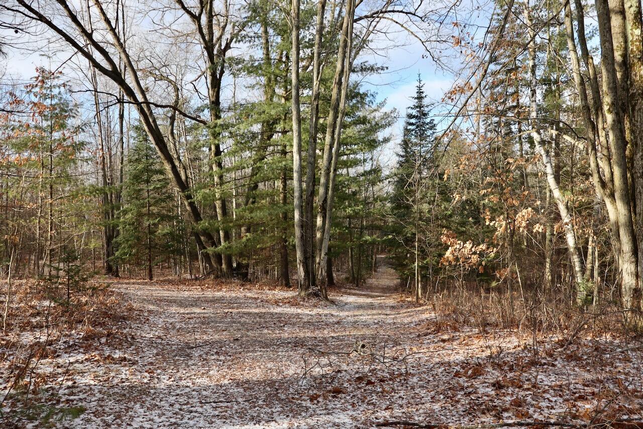 5717 Maple Ridge Road, Sterling, MI, 48659-9210