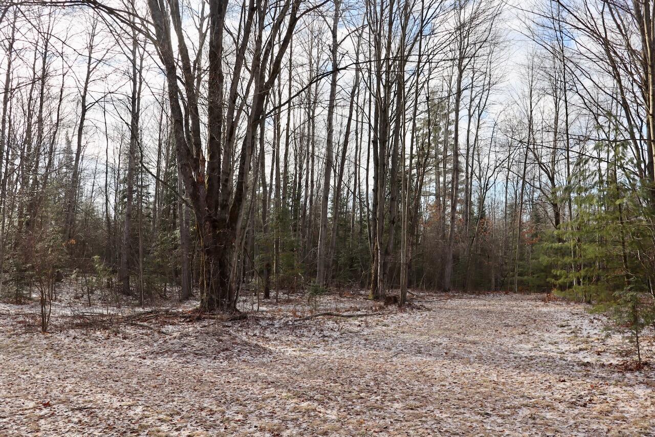 5717 Maple Ridge Road, Sterling, MI, 48659-9210