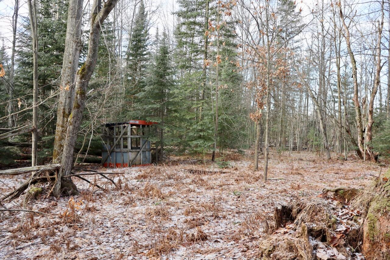 5717 Maple Ridge Road, Sterling, MI, 48659-9210