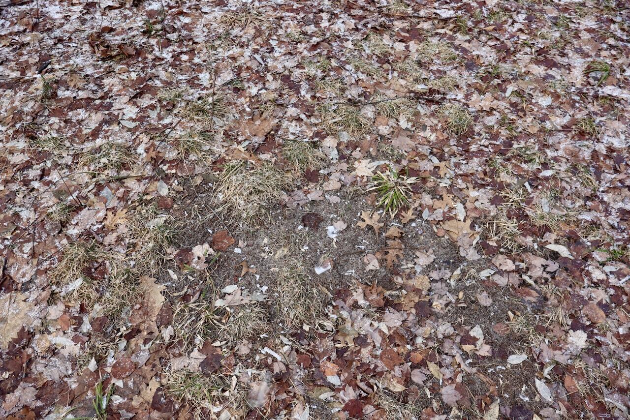 5717 Maple Ridge Road, Sterling, MI, 48659-9210