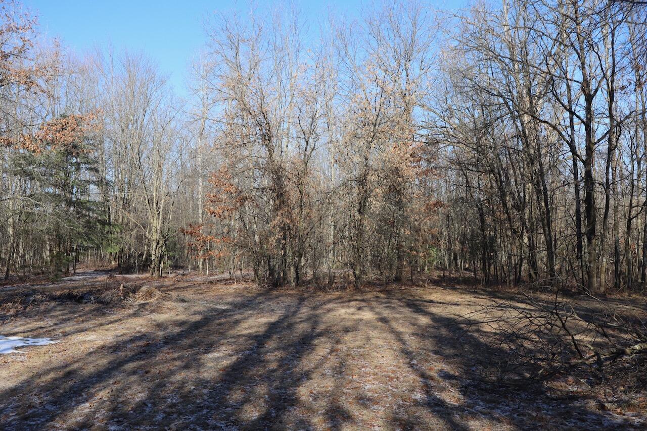 5717 Maple Ridge Road, Sterling, MI, 48659-9210