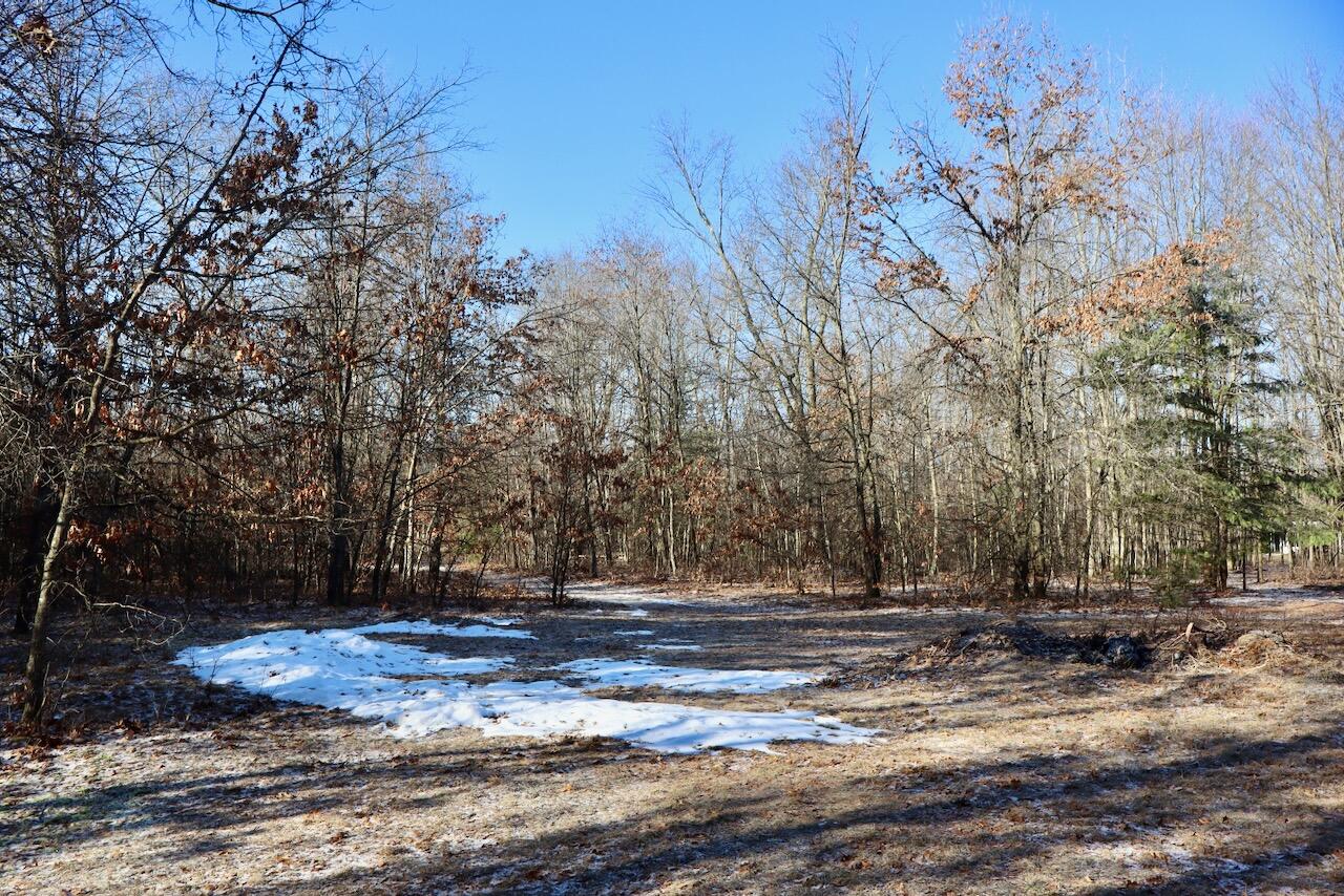 5717 Maple Ridge Road, Sterling, MI, 48659-9210