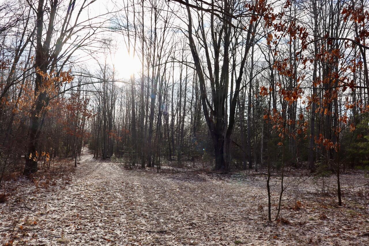 5717 Maple Ridge Road, Sterling, MI, 48659-9210