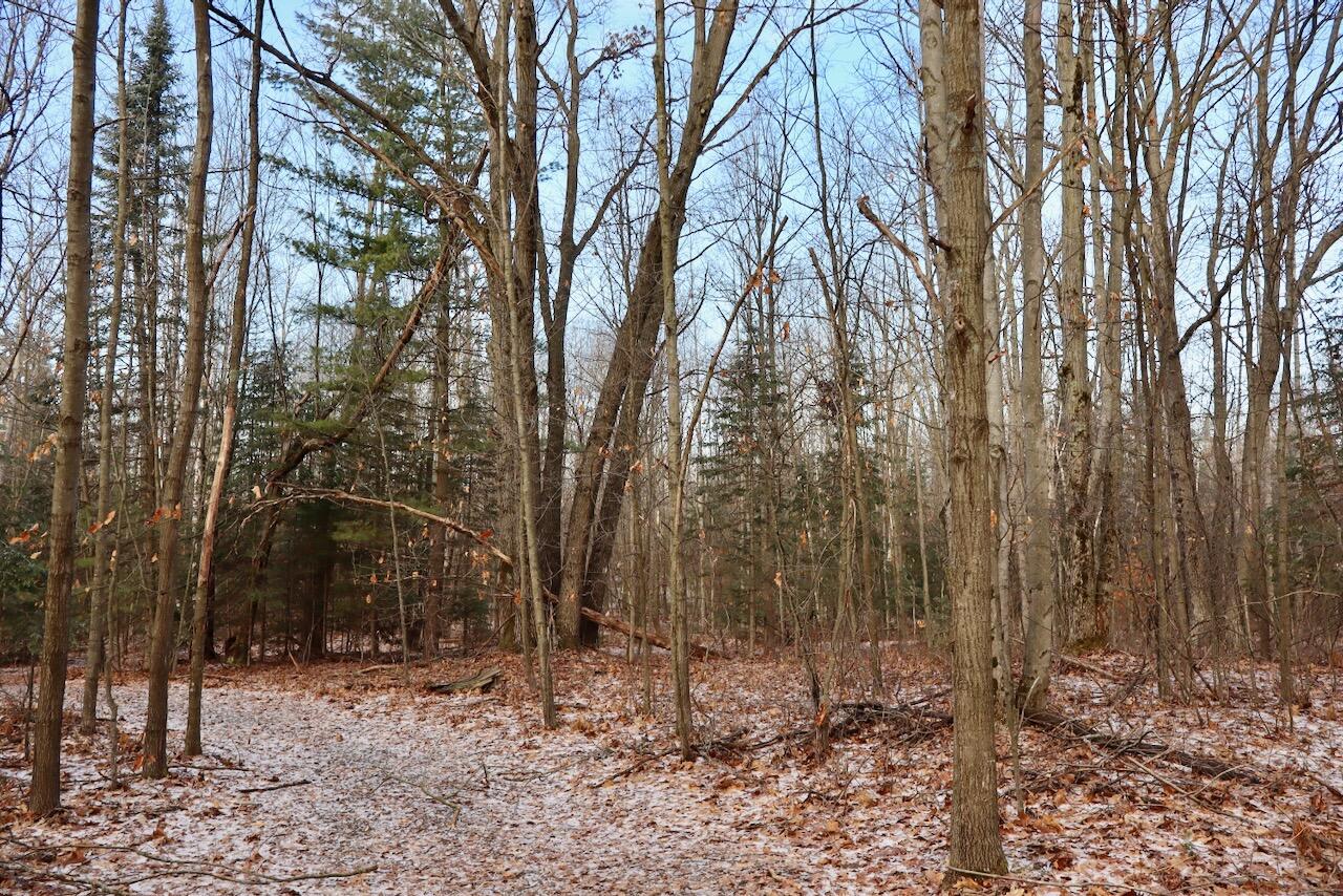 5717 Maple Ridge Road, Sterling, MI, 48659-9210