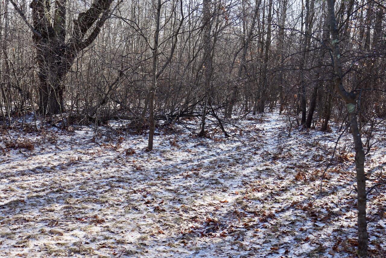 5717 Maple Ridge Road, Sterling, MI, 48659-9210