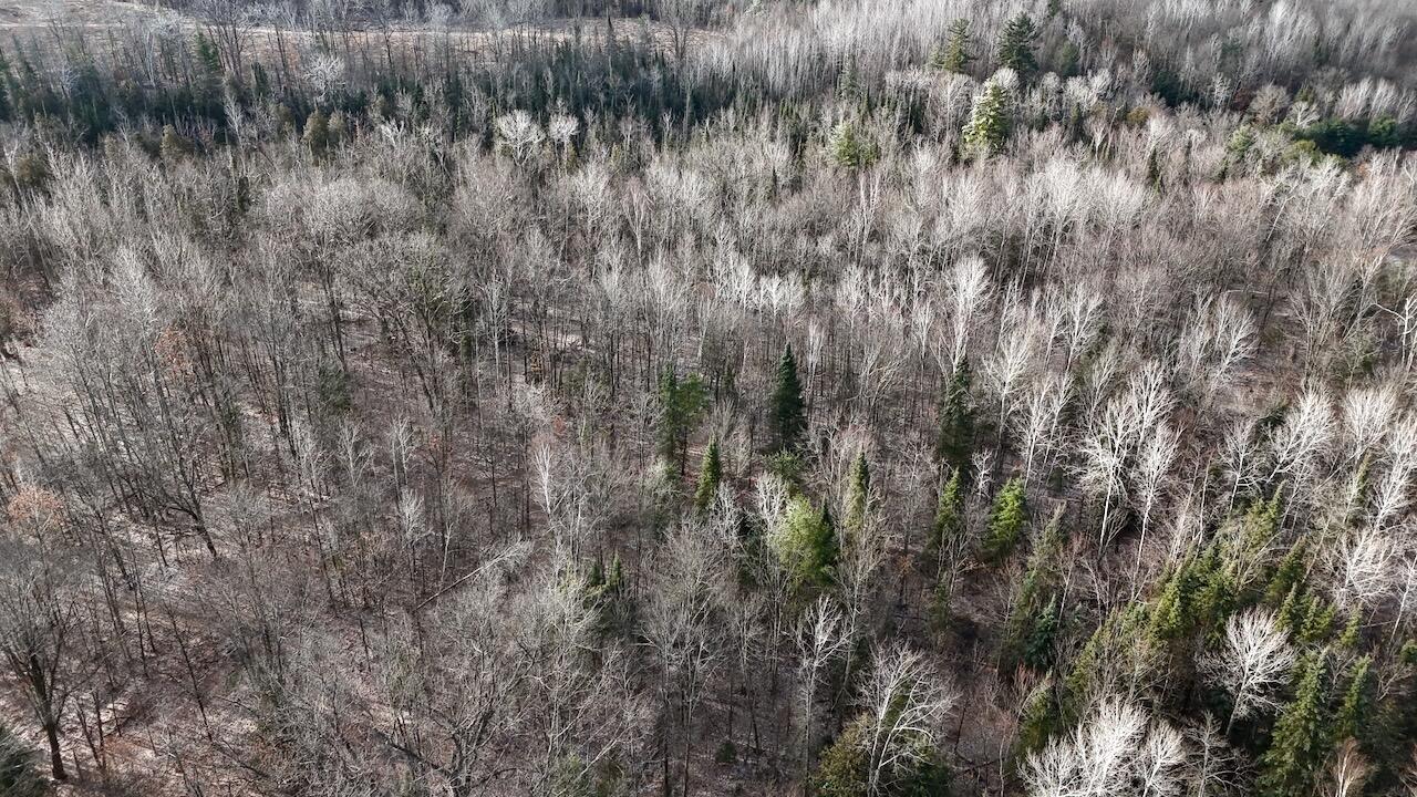 5717 Maple Ridge Road, Sterling, MI, 48659-9210