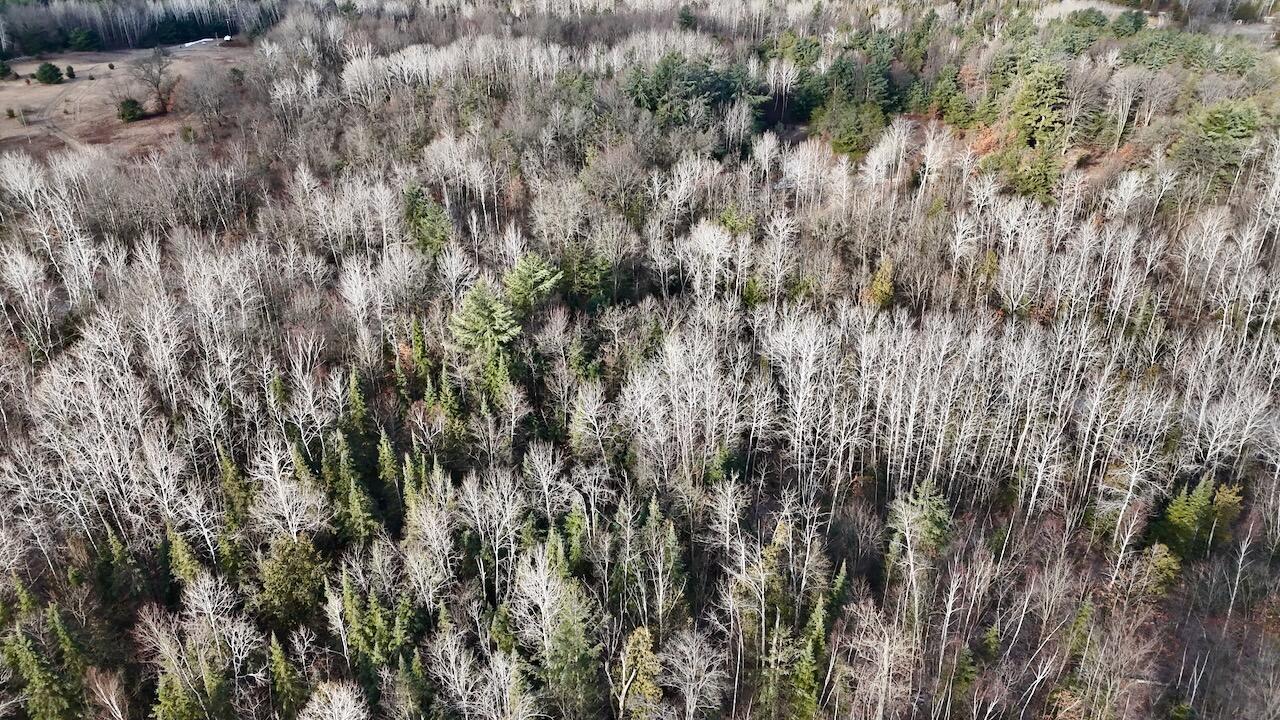 5717 Maple Ridge Road, Sterling, MI, 48659-9210