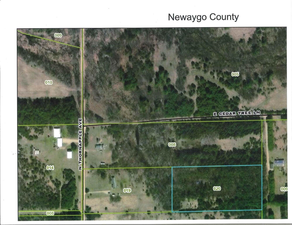 1138 N Thornapple Avenue, White Cloud, MI, 49349-9207