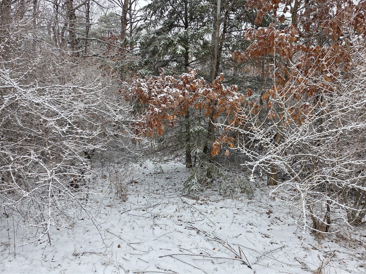 1138 N Thornapple Avenue, White Cloud, MI, 49349-9207