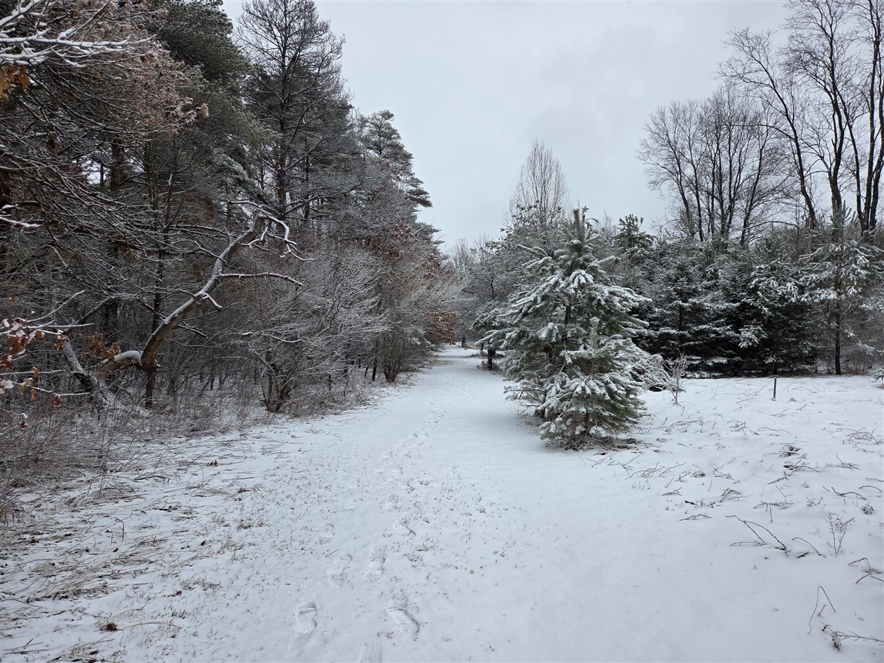 1138 N Thornapple Avenue, White Cloud, MI, 49349-9207