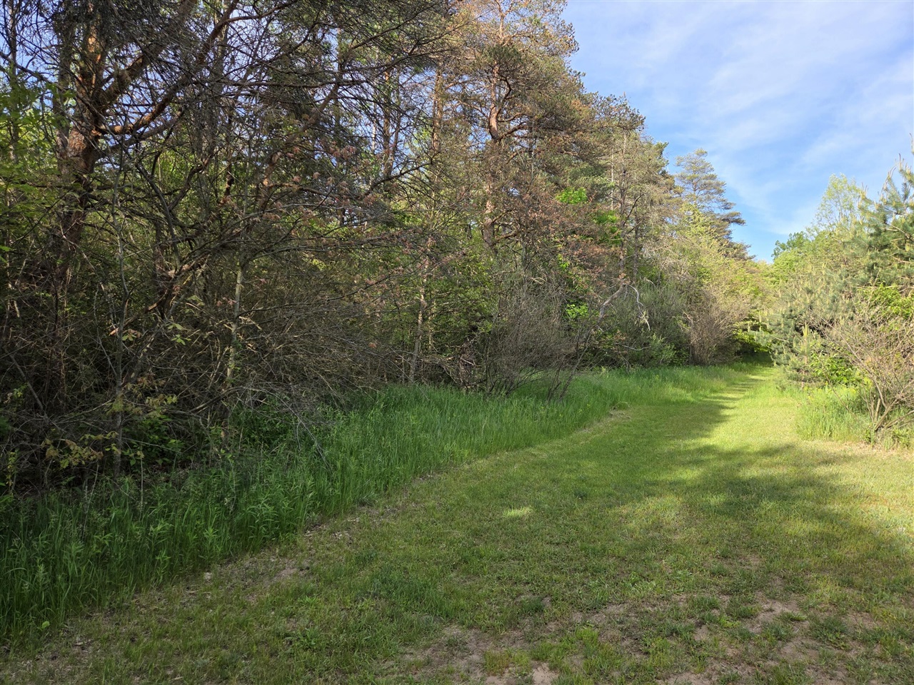 Homes for sale in White Cloud, MI | 1138 N Thornapple Ave, White Cloud, MI 49349 | MLS# 70519760