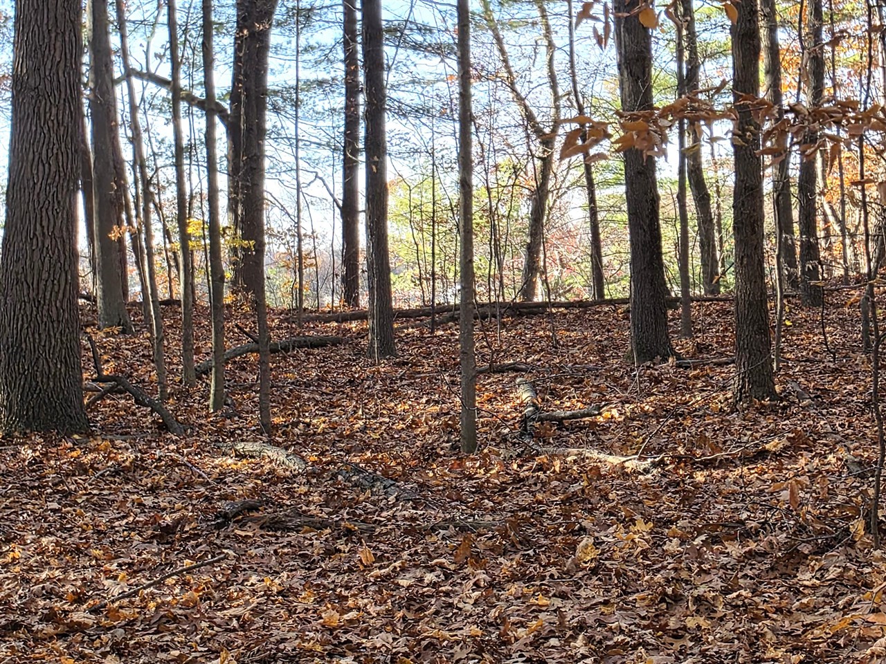 1694 Westview Drive, Allegan, MI, 49010-8953