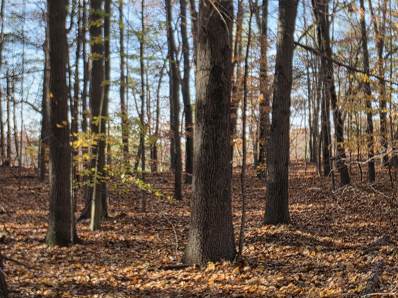 1694 Westview Drive, Allegan, MI, 49010-8953