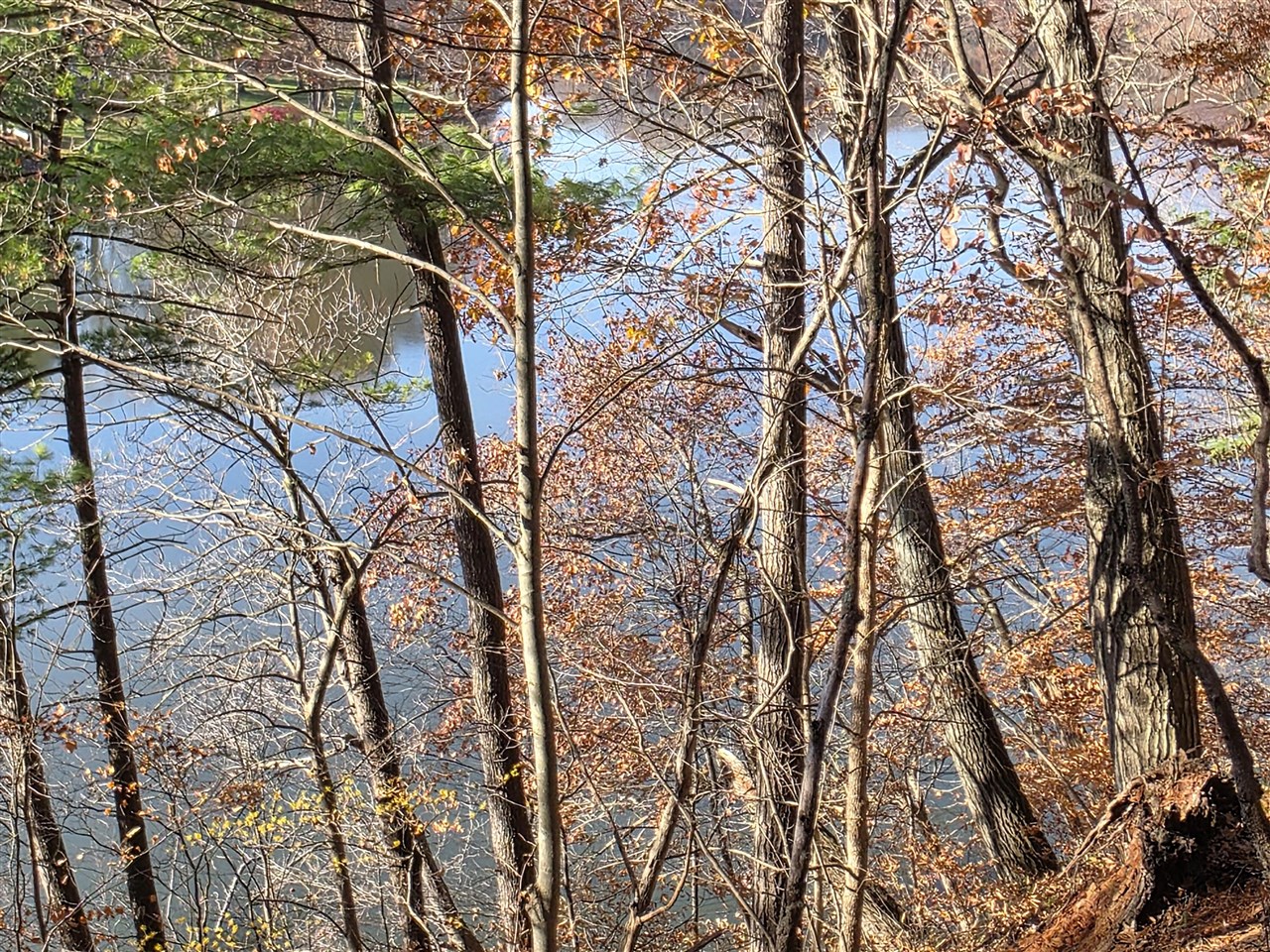 1694 Westview Drive, Allegan, MI, 49010-8953