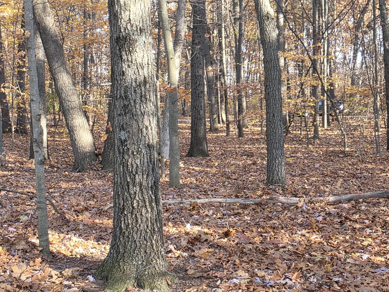 1694 Westview Drive, Allegan, MI, 49010-8953