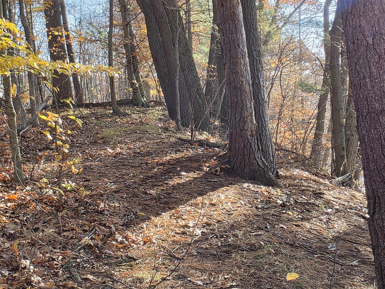 1694 Westview Drive, Allegan, MI, 49010-8953