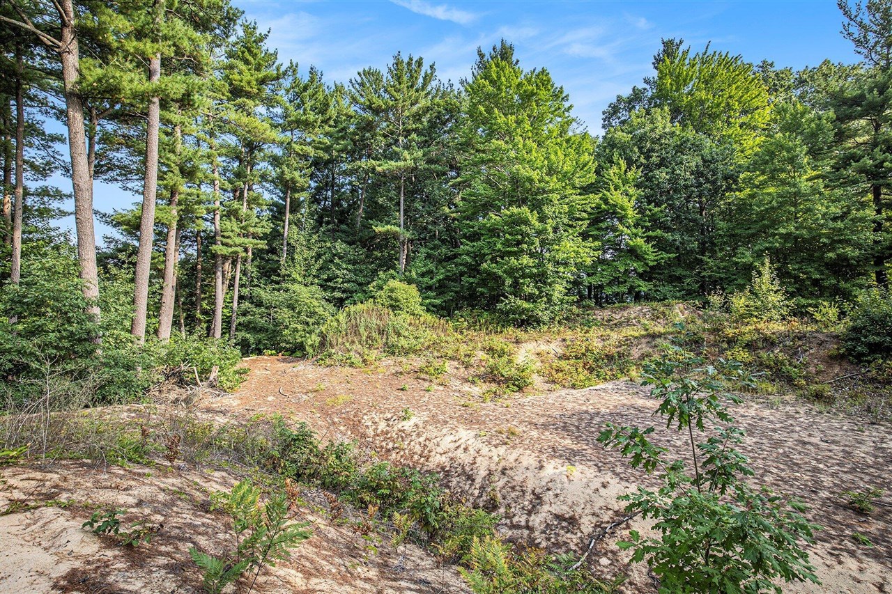 12487 Horseshoe Drive, Gowen, MI, 49326-9579