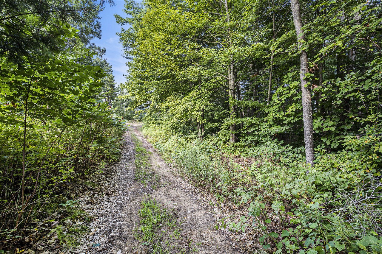 12487 Horseshoe Drive, Gowen, MI, 49326-9579