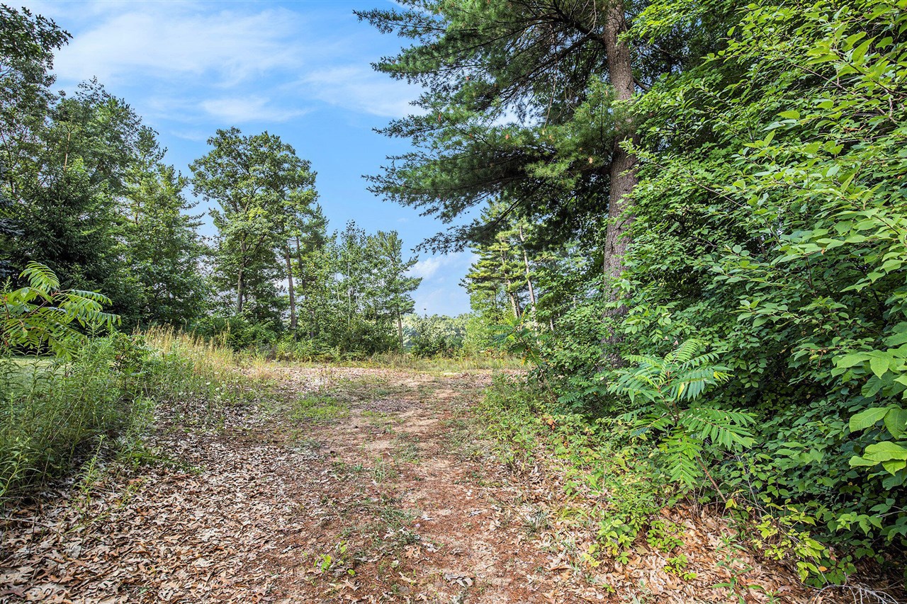 12487 Horseshoe Drive, Gowen, MI, 49326-9579