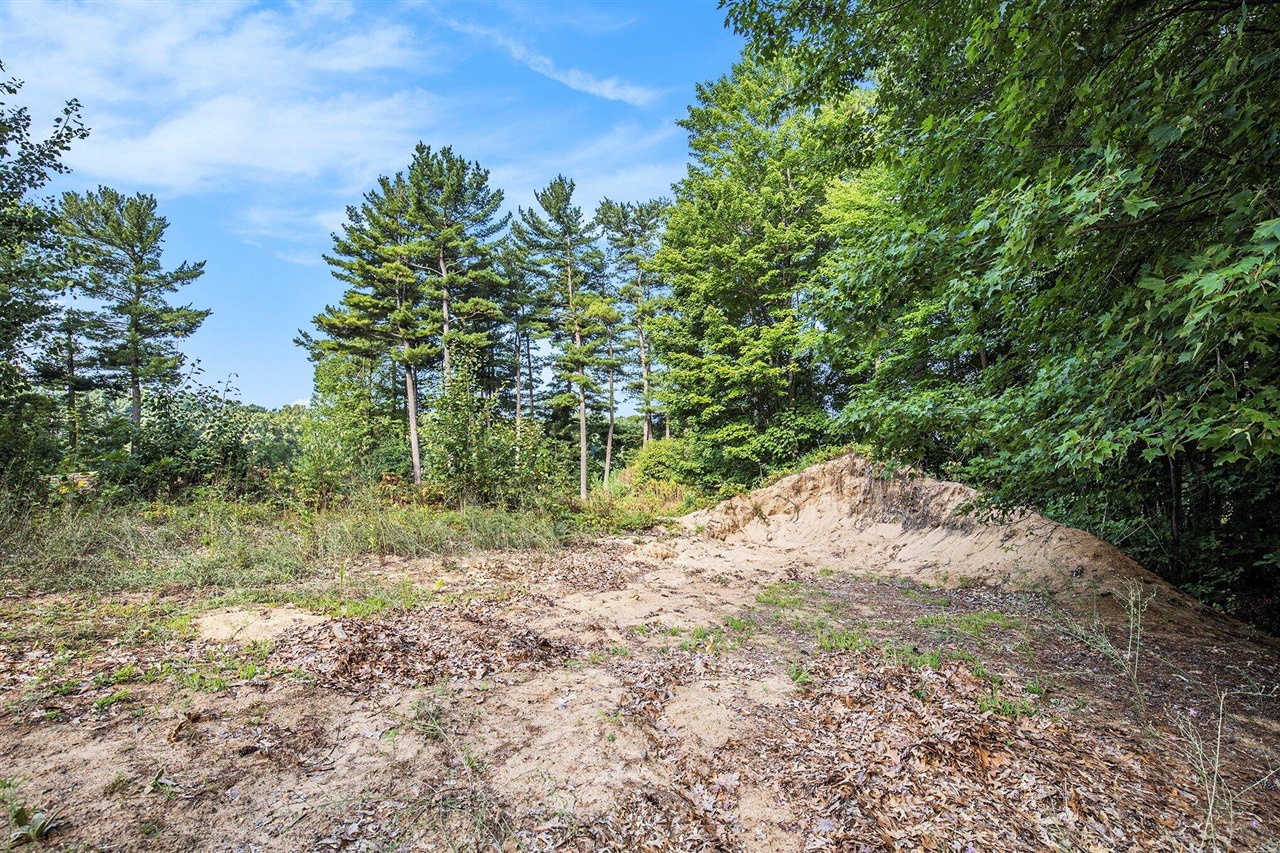 12487 Horseshoe Drive, Gowen, MI, 49326-9579