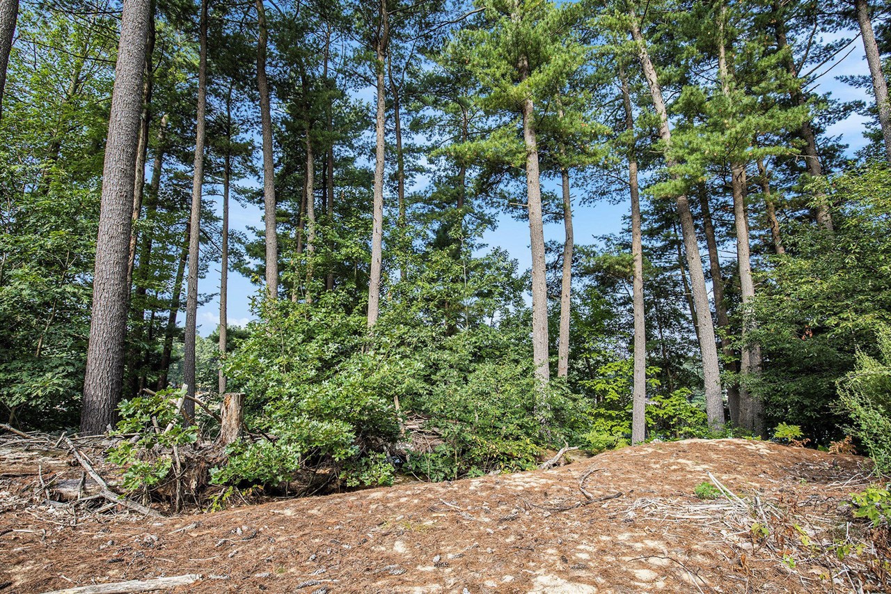 12487 Horseshoe Drive, Gowen, MI, 49326-9579