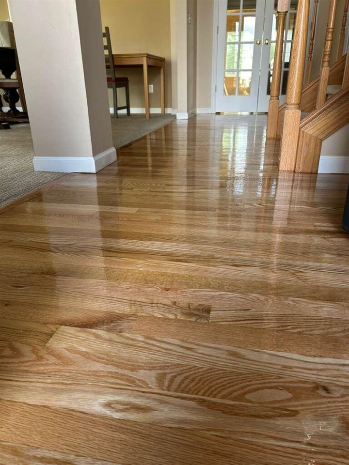 600 Bannock Court, Saline, MI, 48176-1476