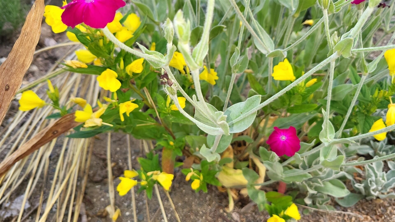 6246 S Brooklyn Road, Jackson, MI, 49201