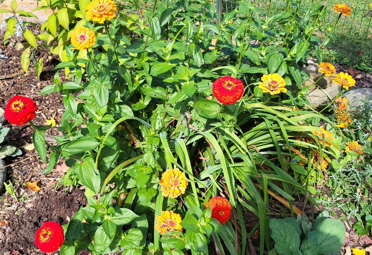 6246 S Brooklyn Road, Jackson, MI, 49201