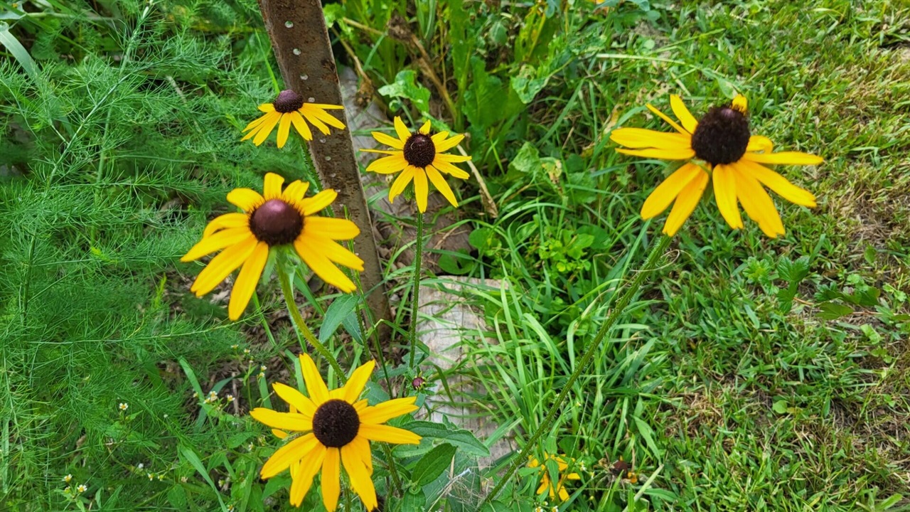 6246 S Brooklyn Road, Jackson, MI, 49201