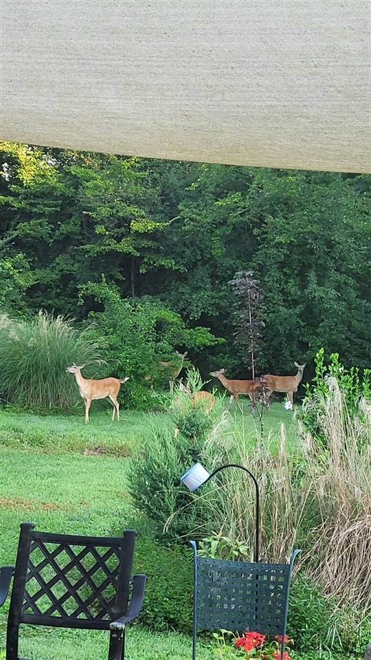 6246 S Brooklyn Road, Jackson, MI, 49201