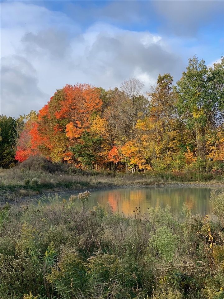 6700 Hallenbeck Highway, Manitou Beach, MI, 49253