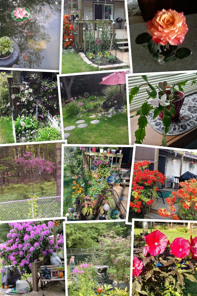 5686 Davis Road, Norton Shores, MI, 49441-5808