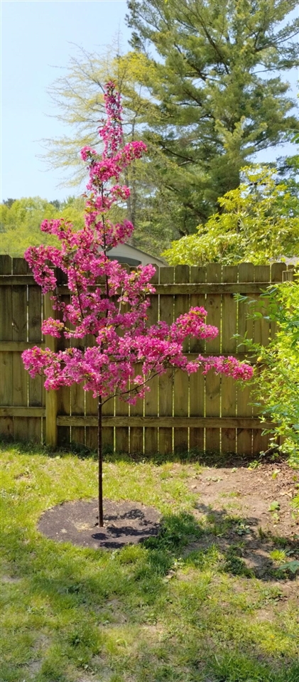 5686 Davis Road, Norton Shores, MI, 49441-5808