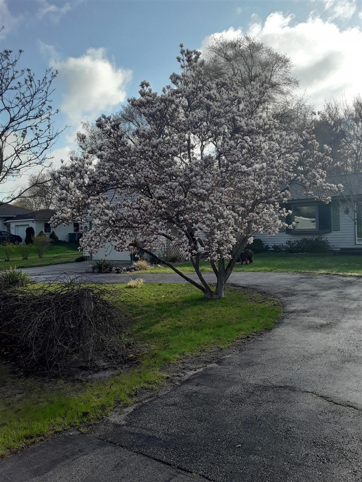 5686 Davis Road, Norton Shores, MI, 49441-5808