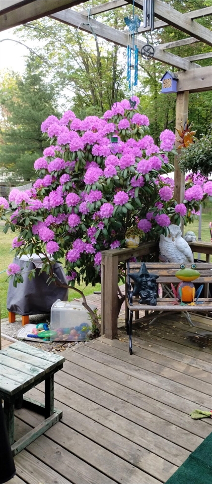 5686 Davis Road, Norton Shores, MI, 49441-5808