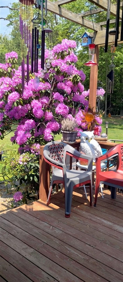 5686 Davis Road, Norton Shores, MI, 49441-5808