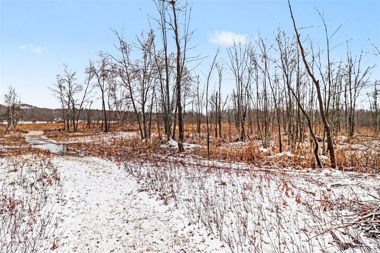 6175 Fox Run Circle, Canadian Lakes, MI, 49346-9358