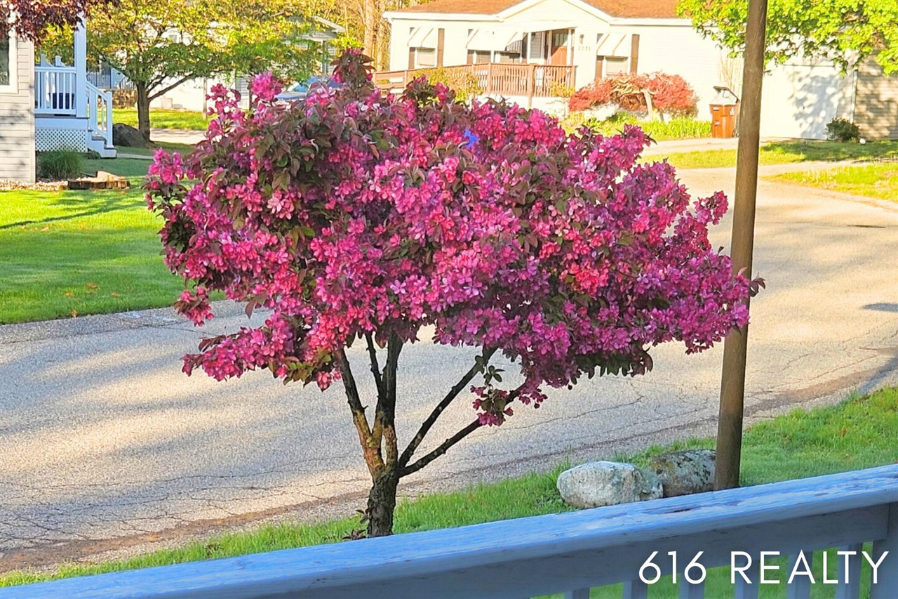 7358 Willow Wood Drive, Belmont, MI, 49306-9419