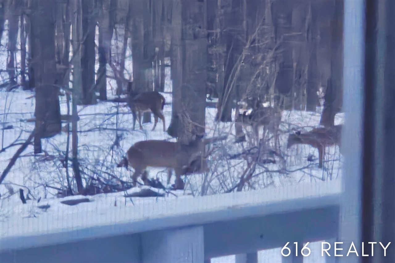 7358 Willow Wood Drive, Belmont, MI, 49306-9419