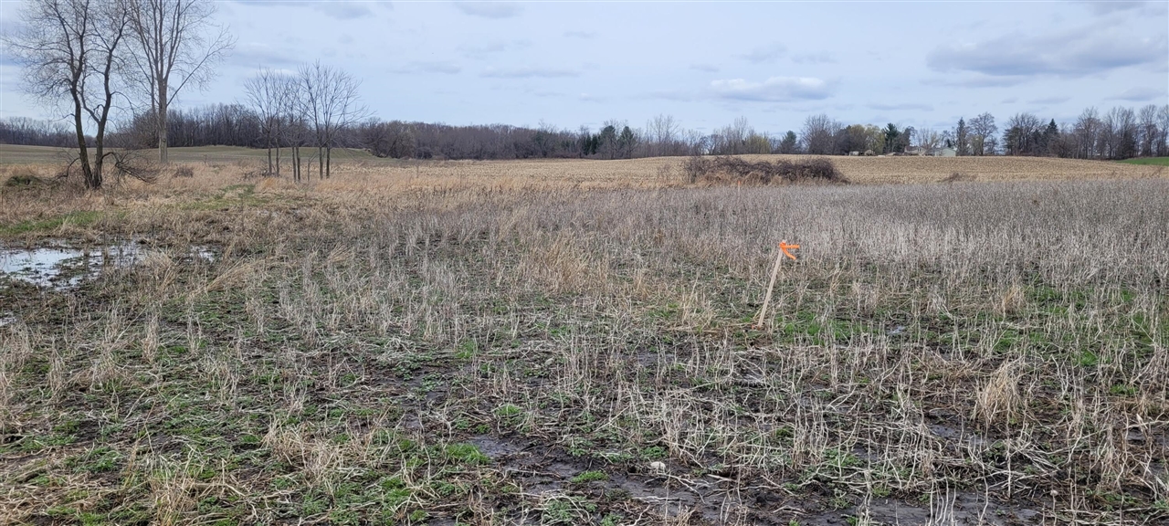 Homes for sale in Lake Odessa, MI | V/l Tasker Rd, Lake Odessa, MI 48849 | MLS# 70520204