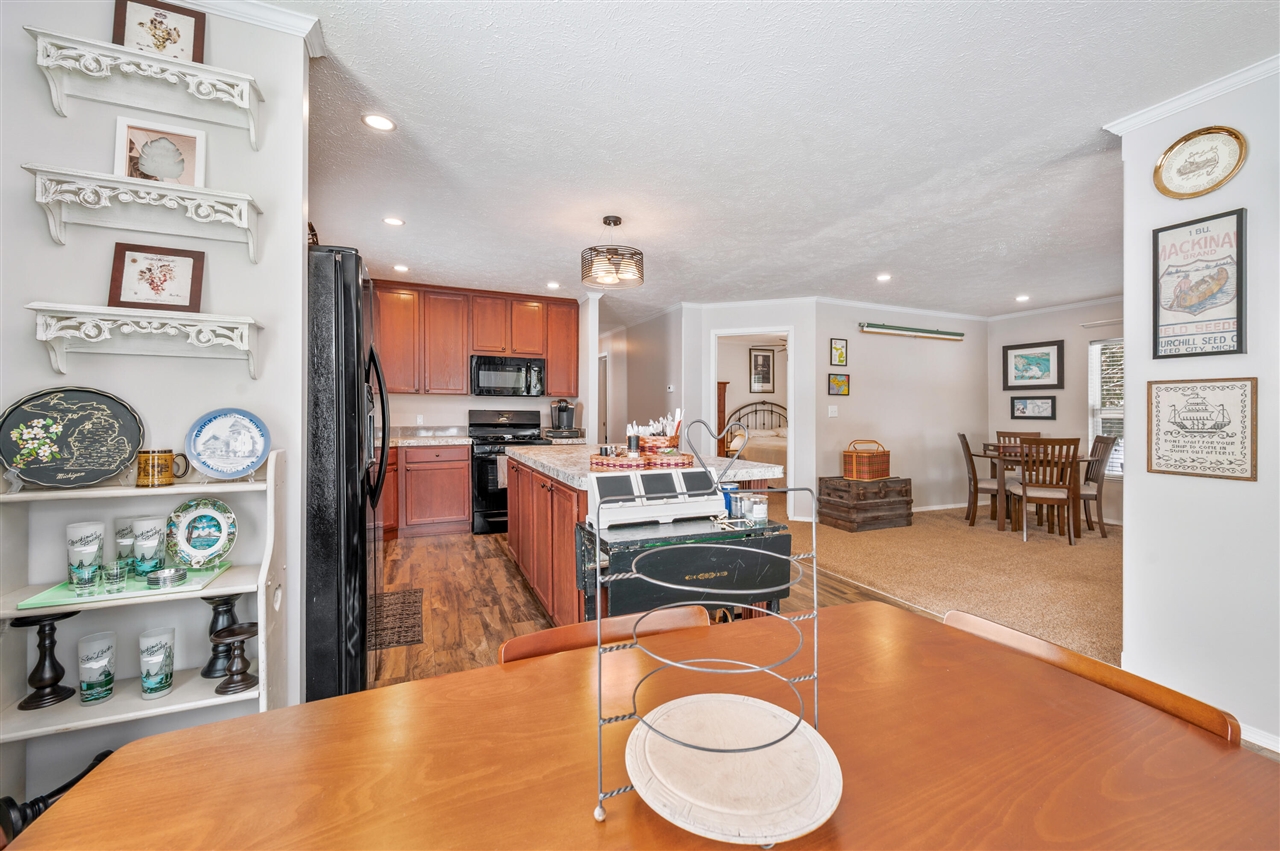 15220 NW Rapids Drive, Hersey, MI, 49639-8440